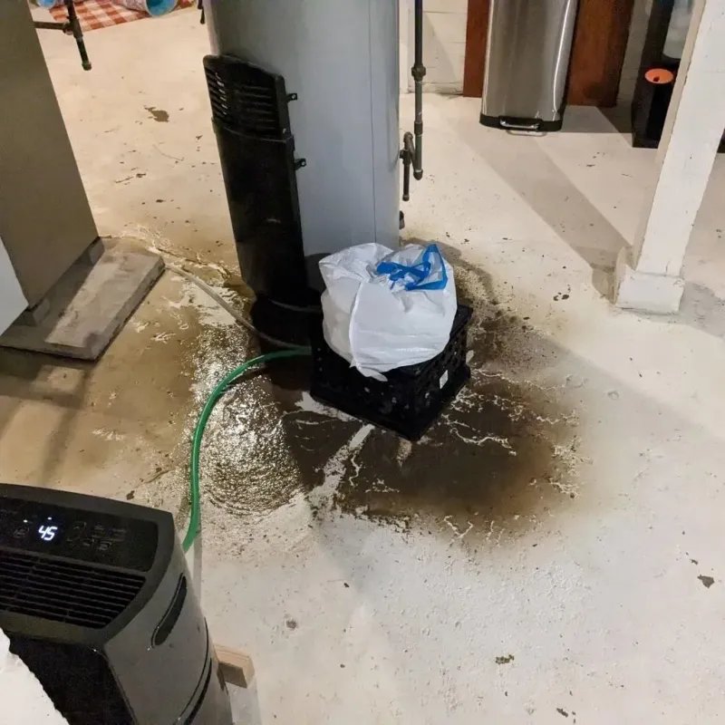 Sewage Backup Cleanup Service in Ingram, TX